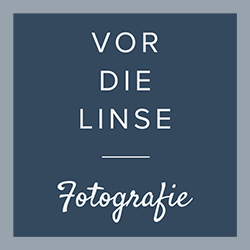 Vor-die-Linse - Fotografie - Championat für 4jährige Haflinger